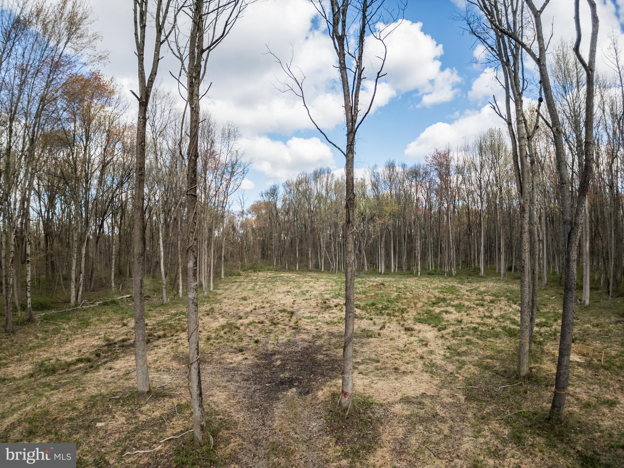 697 Garwood Road Moorestown, NJ 08057 - Photo 13 of 15