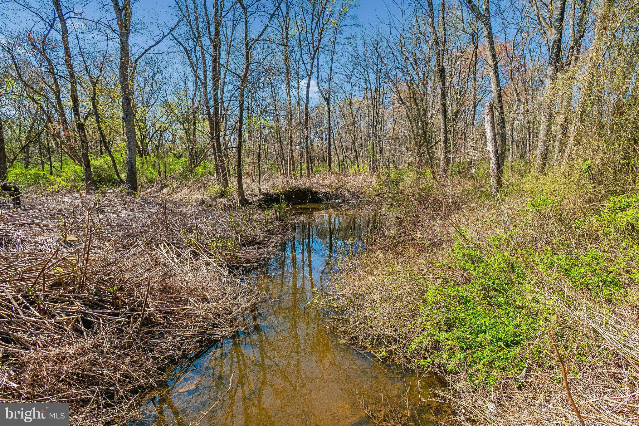 697 Garwood Road Moorestown, NJ 08057 - Photo 4 of 15