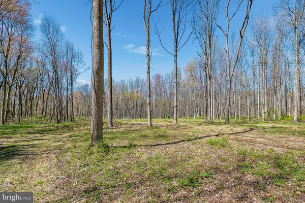 a backyard of apartments with large trees