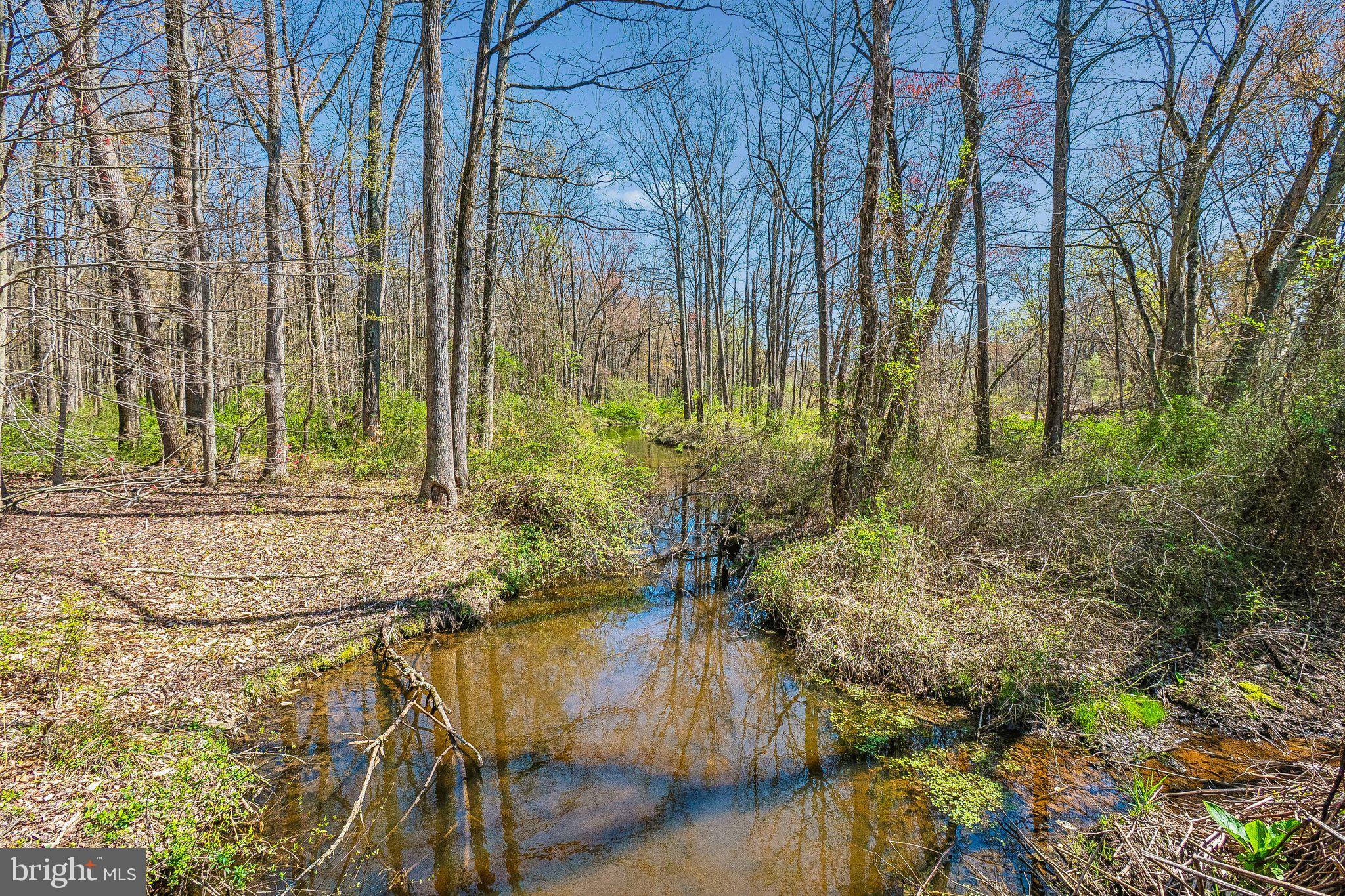 697 Garwood Road Moorestown, NJ 08057 - Photo 6 of 15