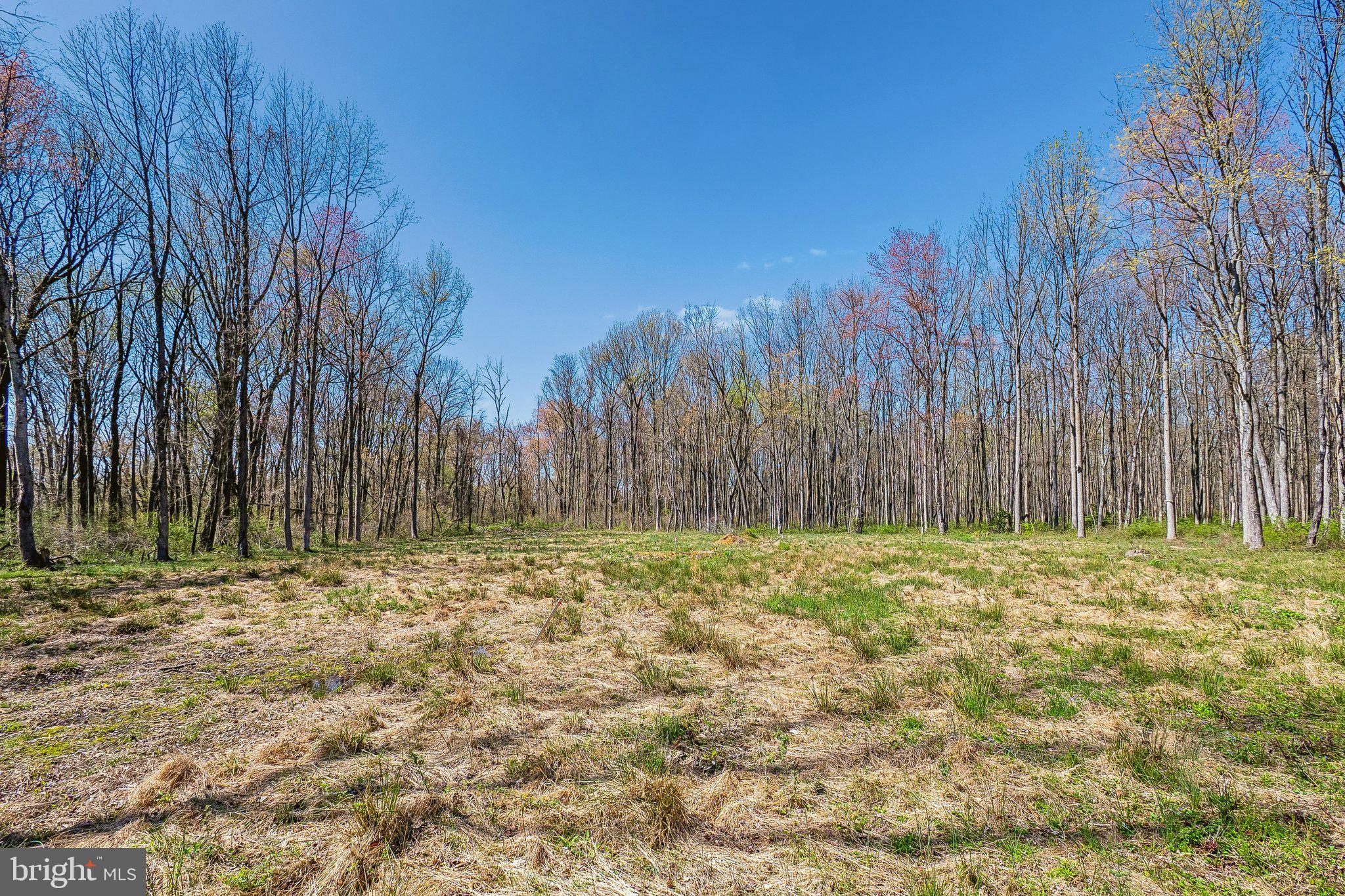 697 Garwood Road Moorestown, NJ 08057 - Photo 9 of 15