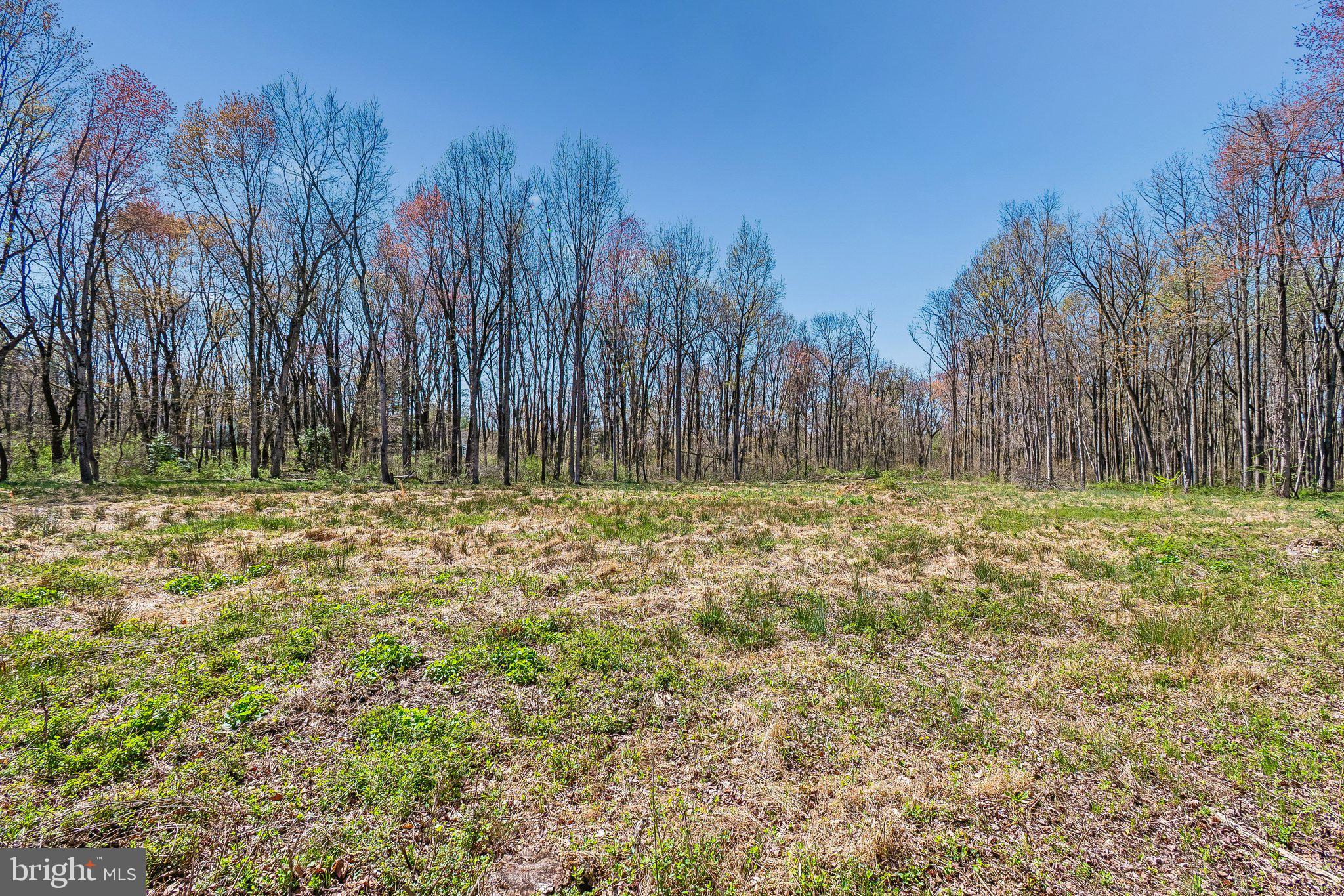 697 Garwood Road Moorestown, NJ 08057 - Photo 10 of 15