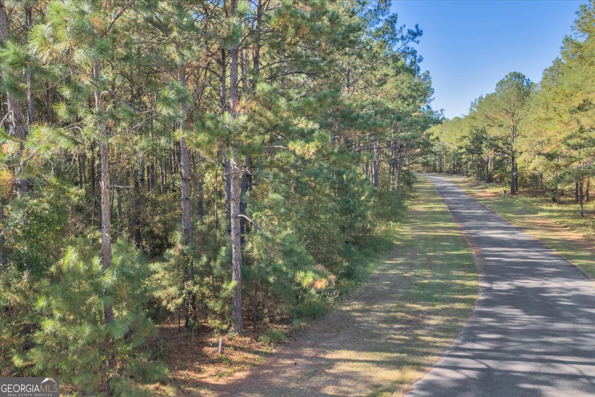 Lot 29 Sweet Magnolia Circle Dublin, GA 31021 - Photo 14 of 23 a view of a yard with plants and trees