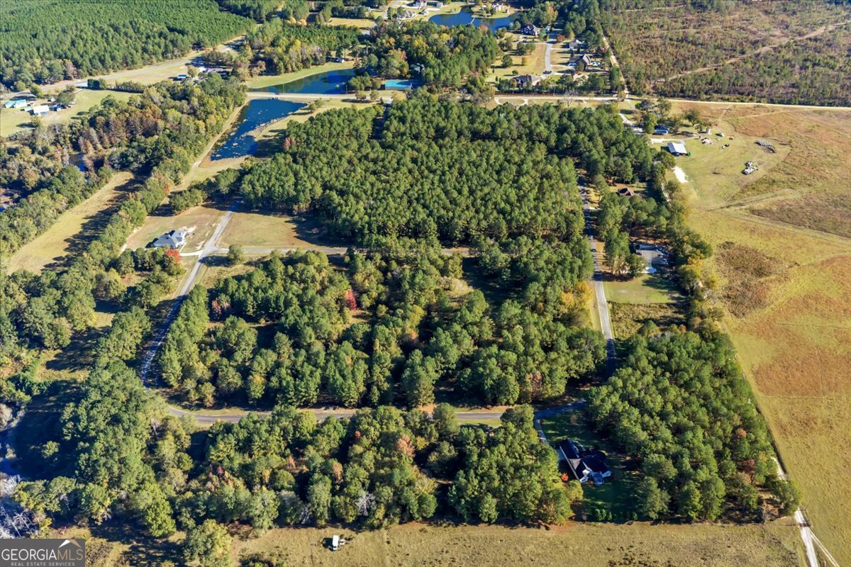 Lot 29 Sweet Magnolia Circle Dublin, GA 31021 - Photo 21 of 23 a view of a garden