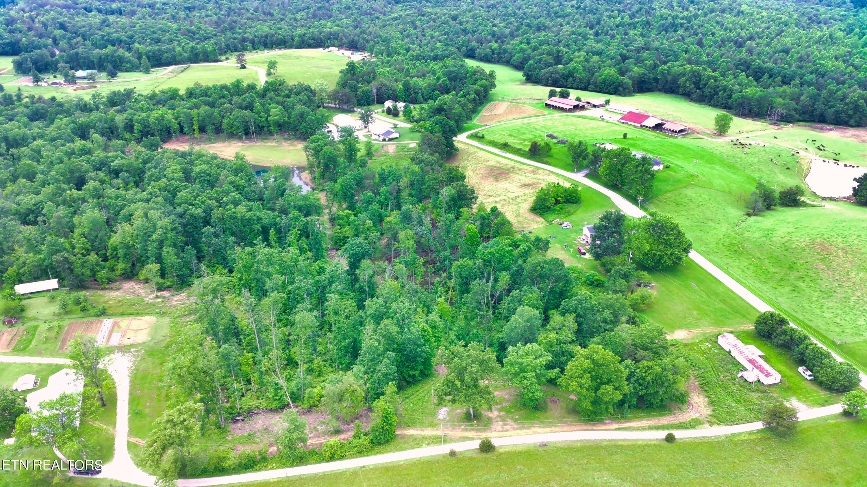 Twin Bridge Road Road Deer Lodge, TN 37726 - Photo 13 of 38 FIMI0016