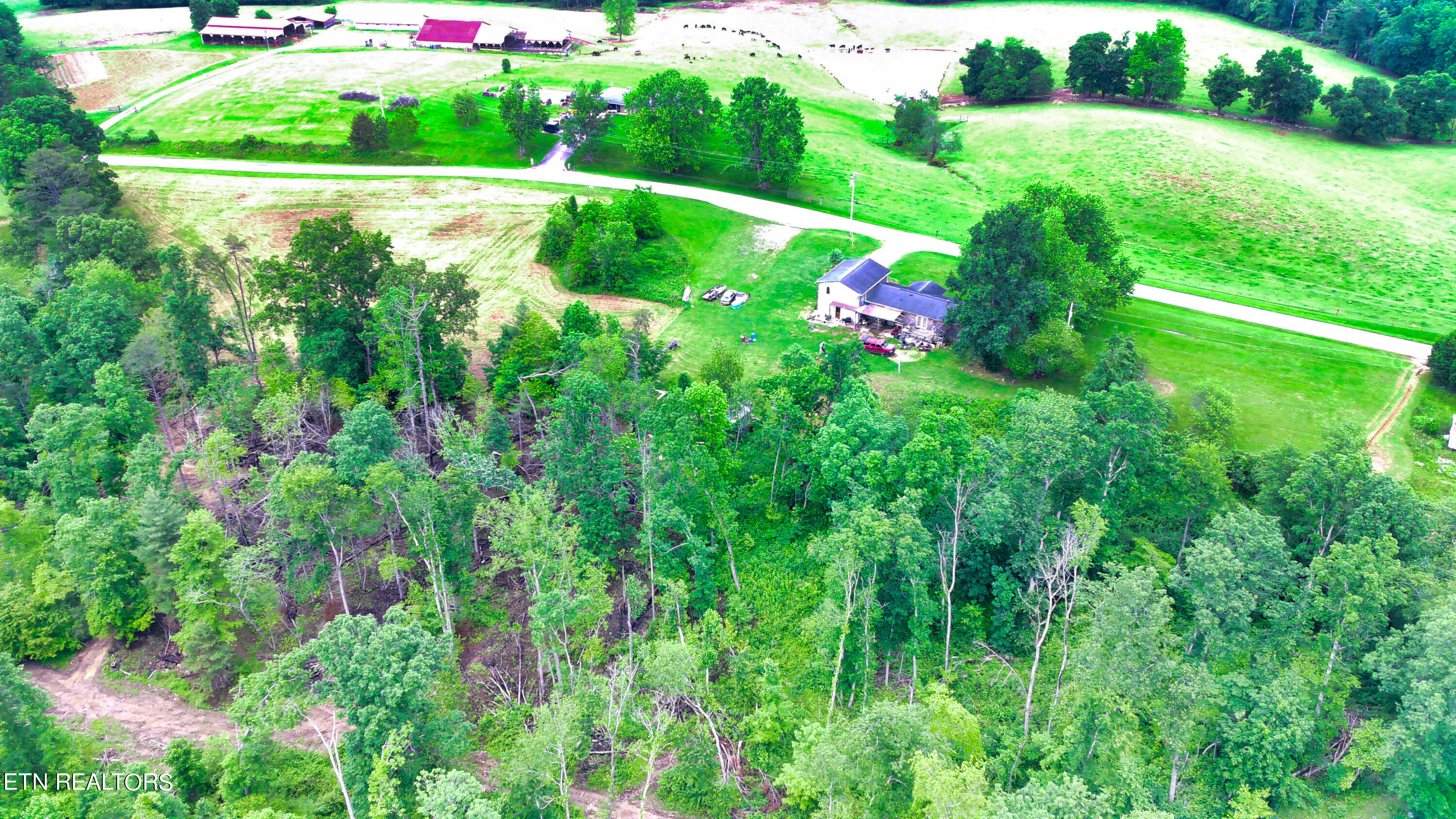 Twin Bridge Road Road Deer Lodge, TN 37726 - Photo 15 of 38 FIMI0007