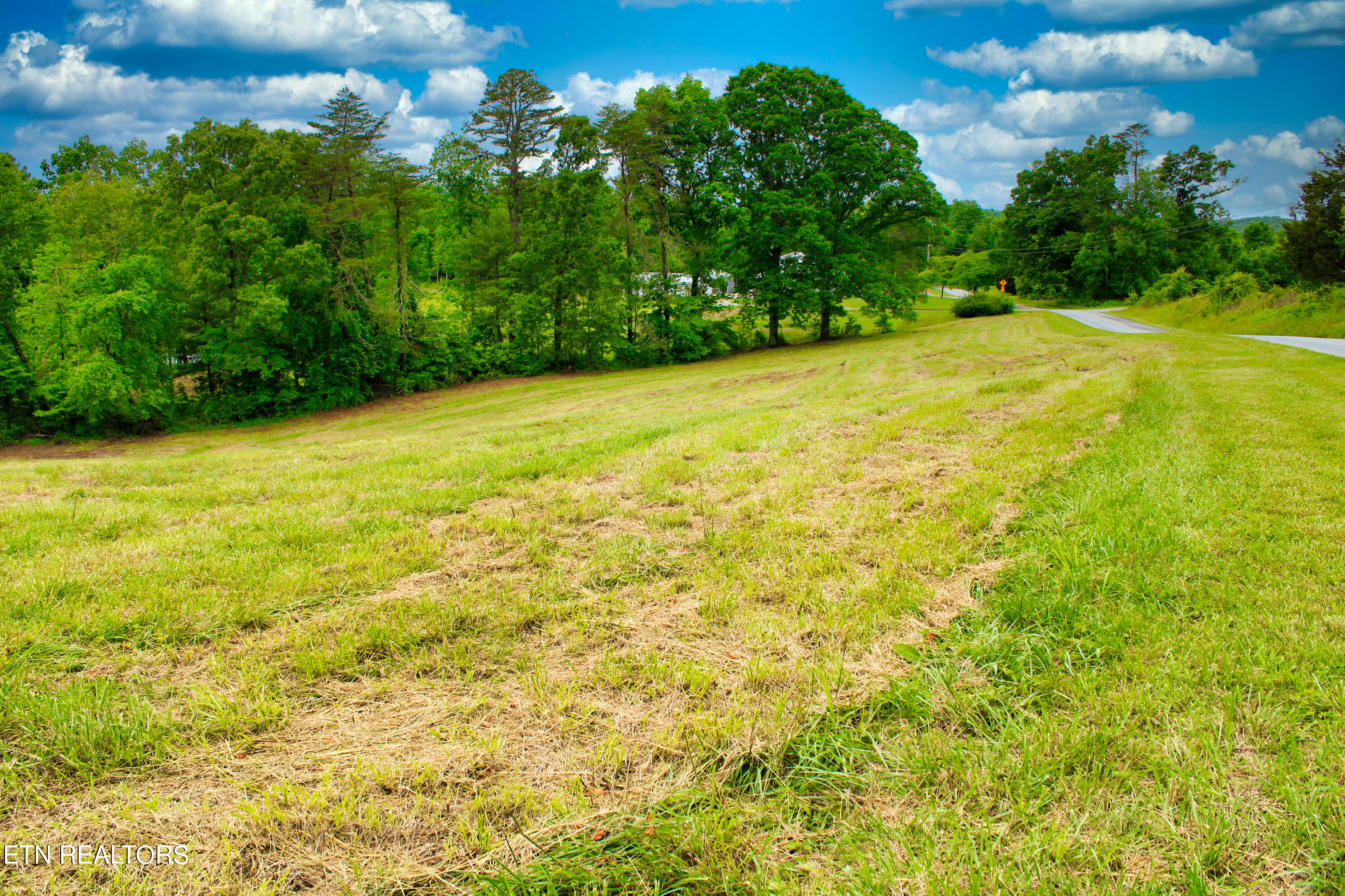 Twin Bridge Road Road Deer Lodge, TN 37726 - Photo 26 of 38 IMG_0192