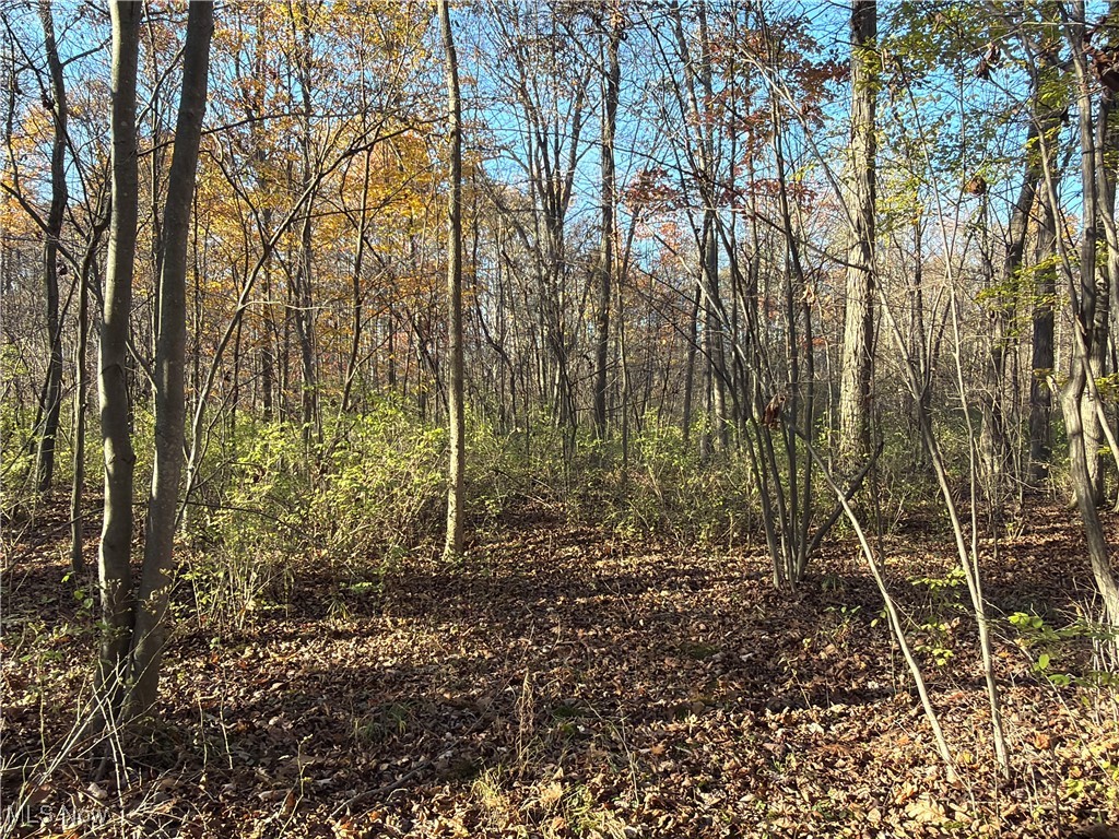 307 State Route Dorset, OH 44032 - Photo 28 of 50
