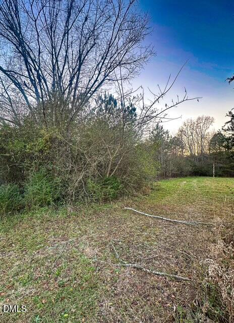 1037 Reed Road Castalia, NC 27816 - Photo 2 of 18 a view of a field with trees in the background