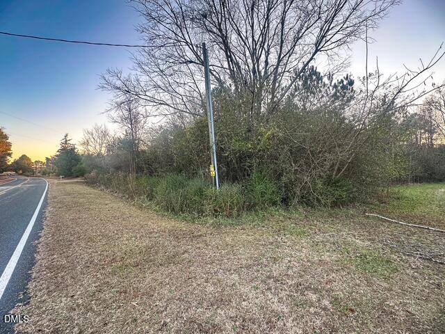 1037 Reed Road Castalia, NC 27816 - Photo 3 of 18 a view of a forest with trees in front of it