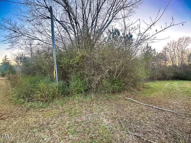 a view of a yard with trees