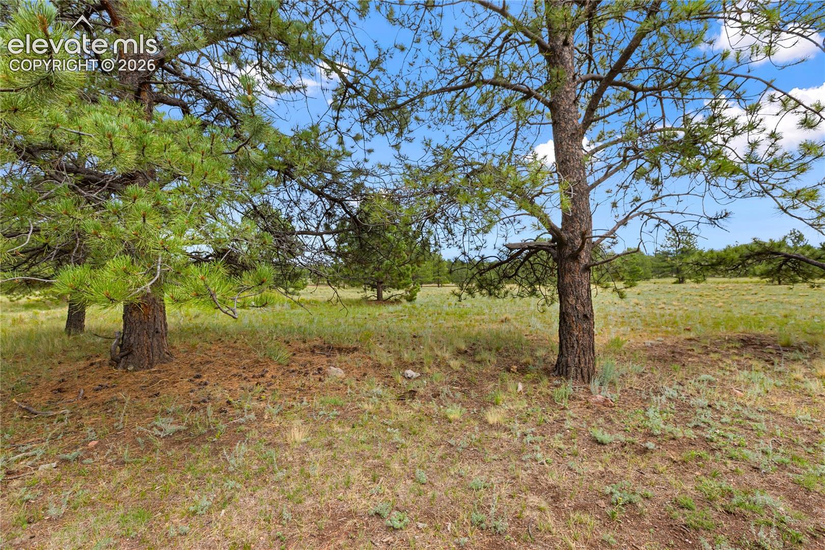 1395 Doe Valley Road Guffey, CO 80820 - Photo 43 of 43 Gallery Image 43