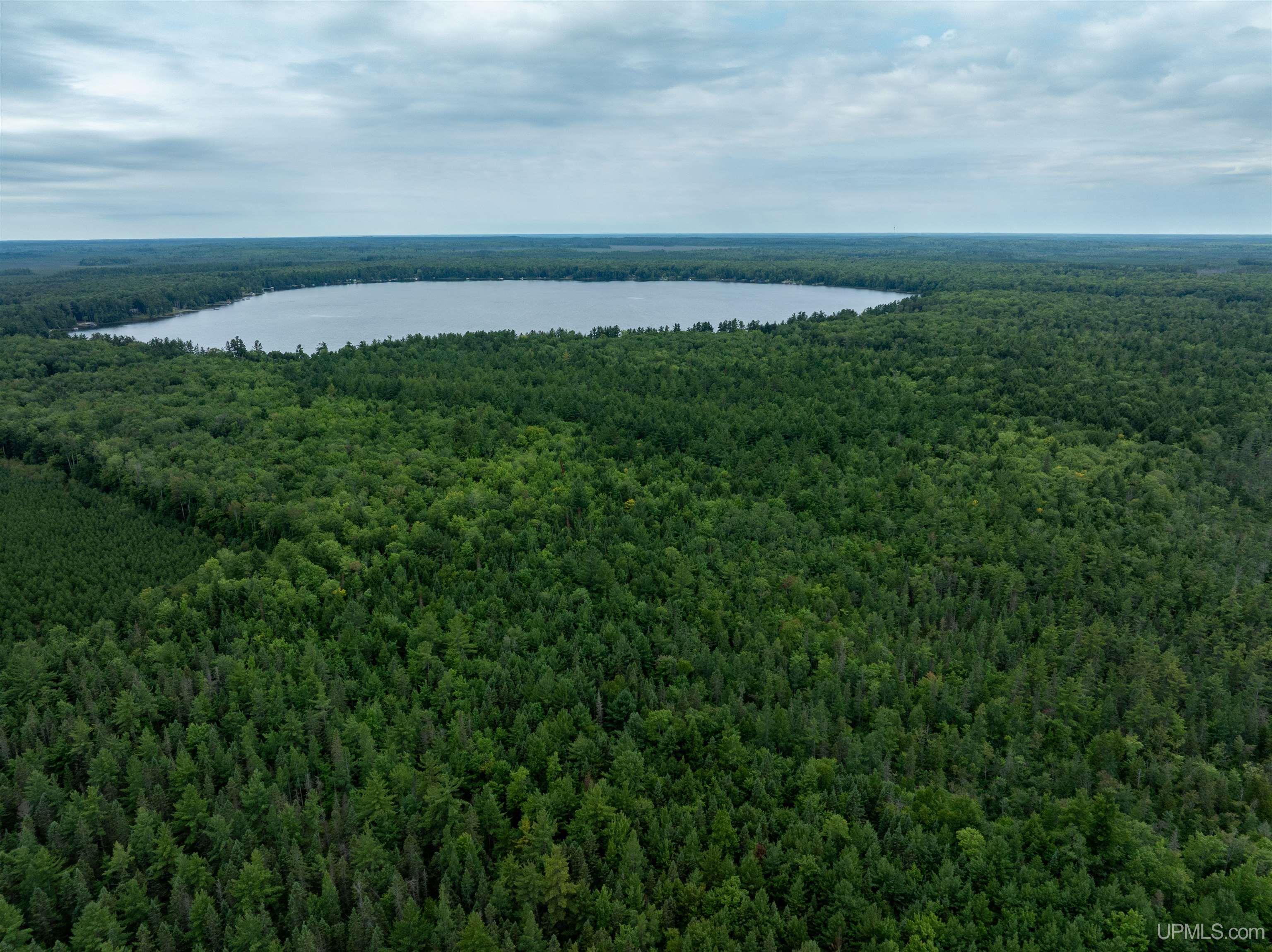 Tbd Round Lake Road Munising, MI 49862 - Photo 6 of 13