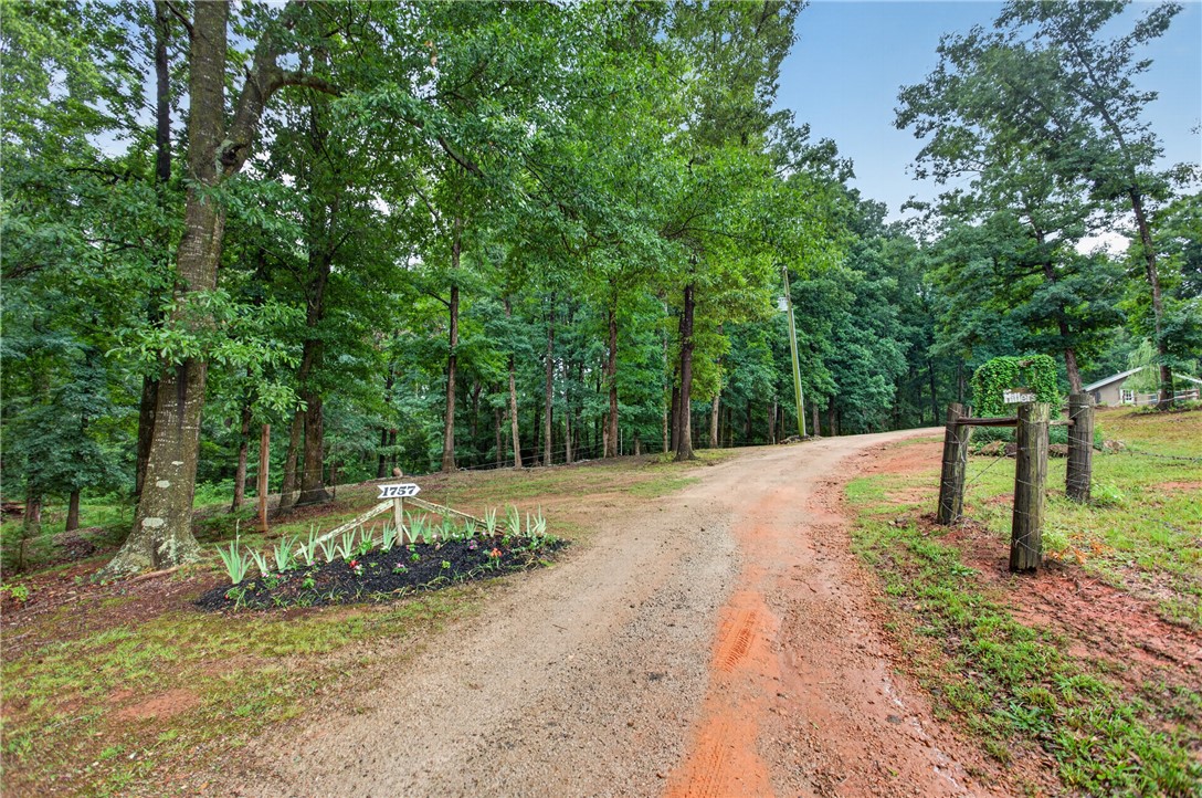 1757 Old Dobbin Bridge Road Townville, SC 29689 - Photo 33 of 36