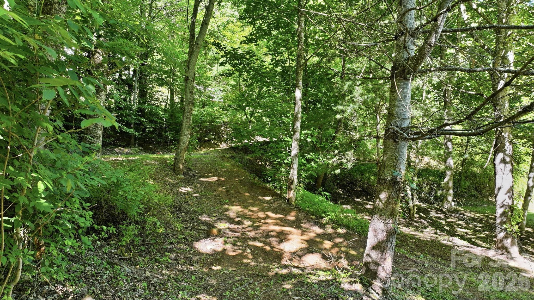 Tbd Dark Ridge Road Sylva, NC 28779 - Photo 5 of 17
