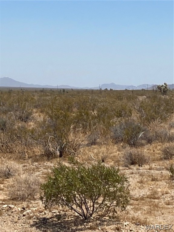 2106 South Wild Bill Road Yucca, AZ 86438 - Photo 2 of 9