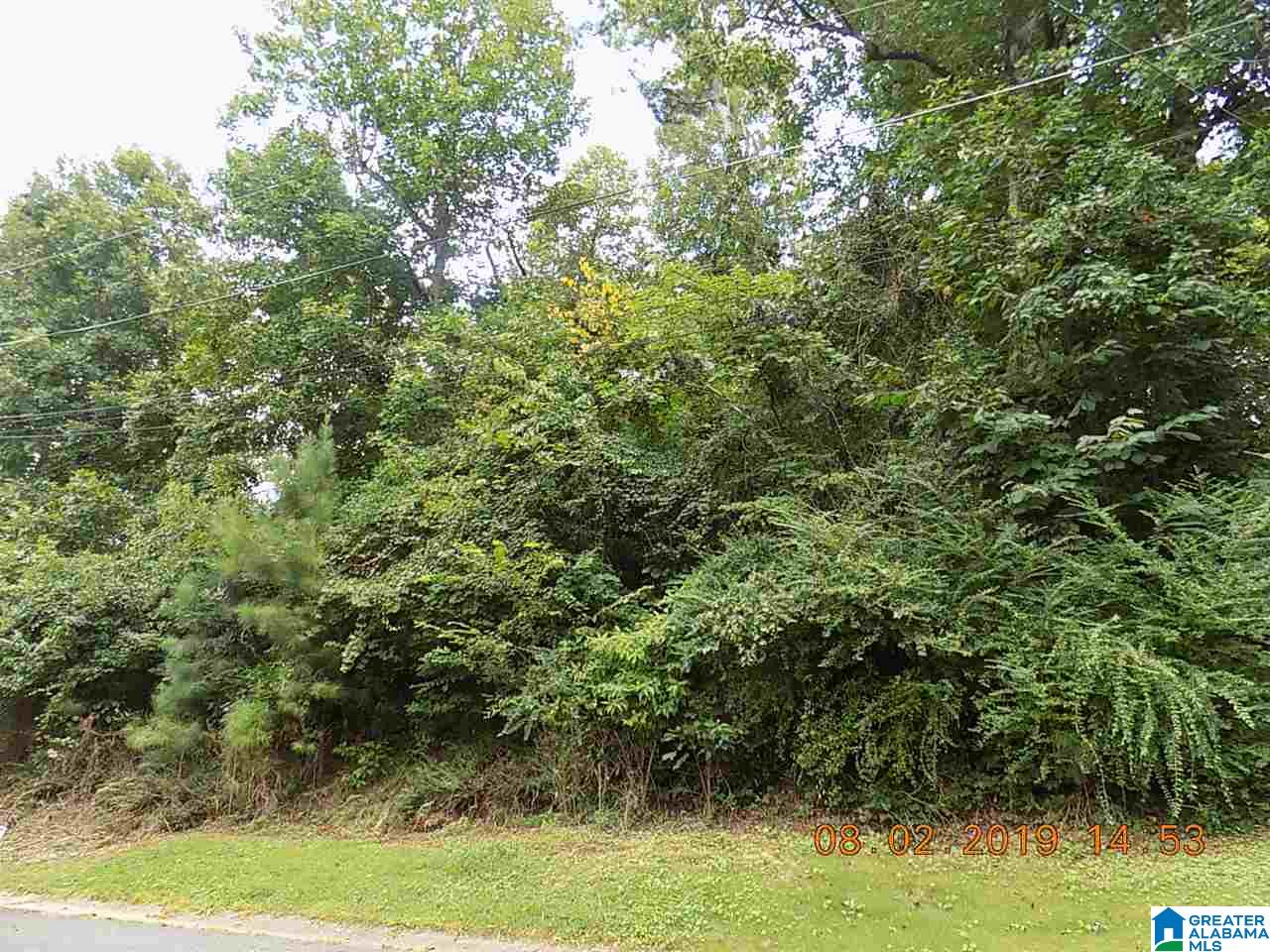 Lot 2 Ridgewood Lane, Unit 2 Odenville, AL 35120 - Photo 2 of 3