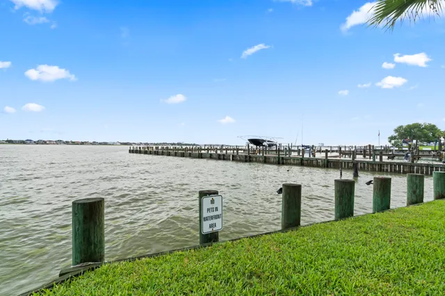 a view of a patio with garden and plants