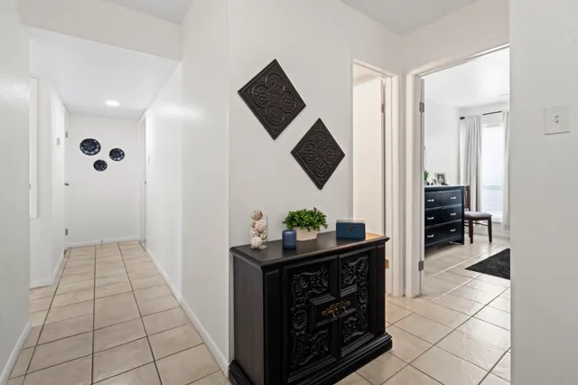 a close view of chair and flower pot