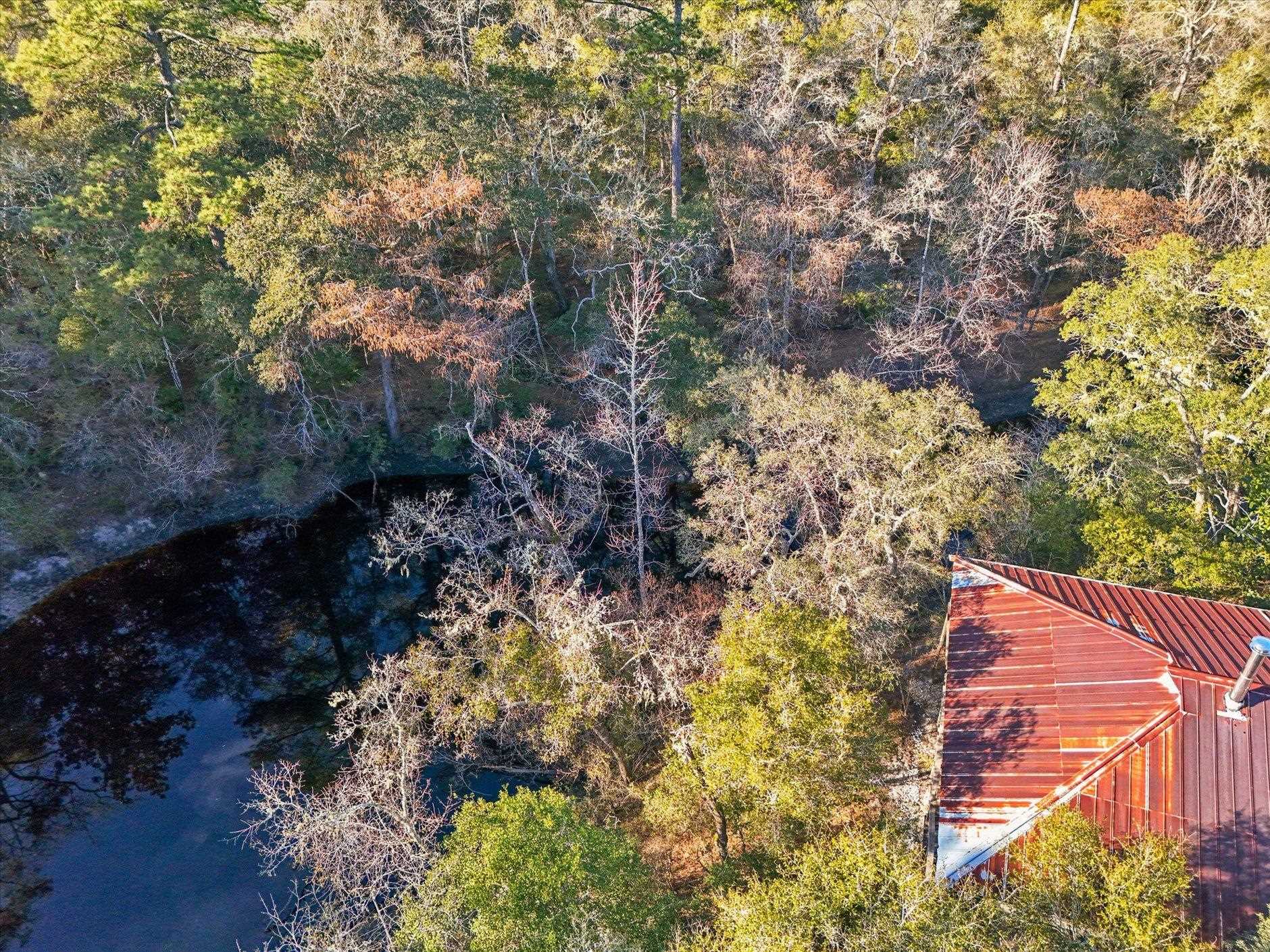 14 Lizard Lane Sopchoppy, FL 32358 - Photo 34 of 36