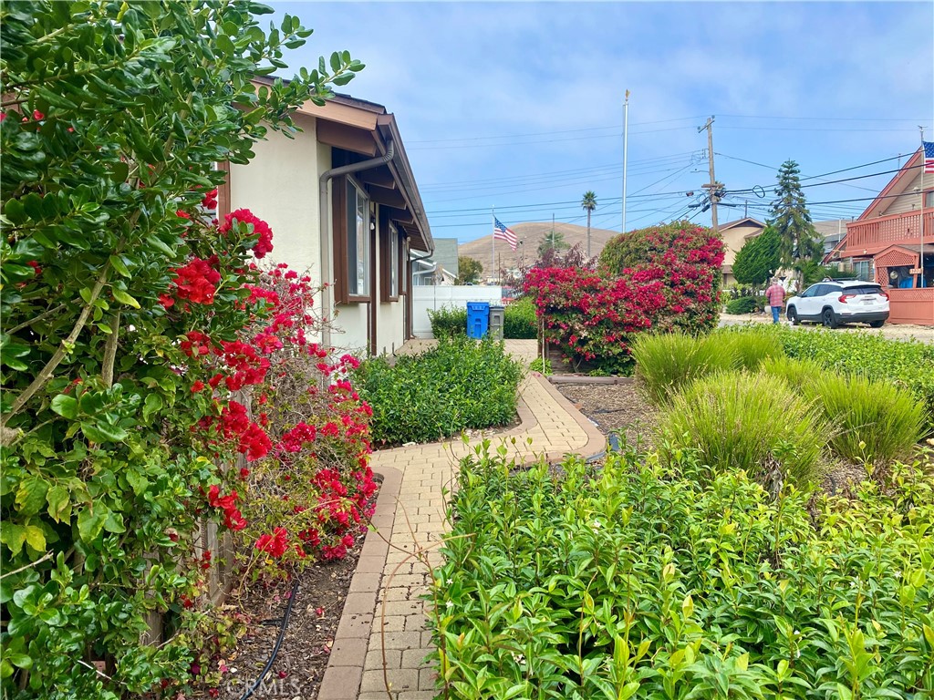 3219 Tide Avenue Morro Bay, CA 93442 - Photo 3 of 23 a view of a flower in a garden