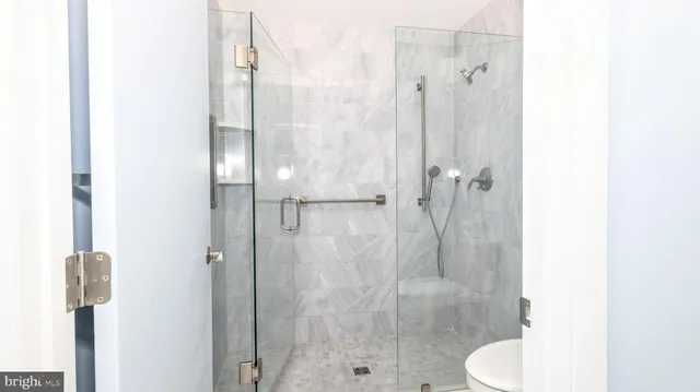 a bathroom with a shower and toilet