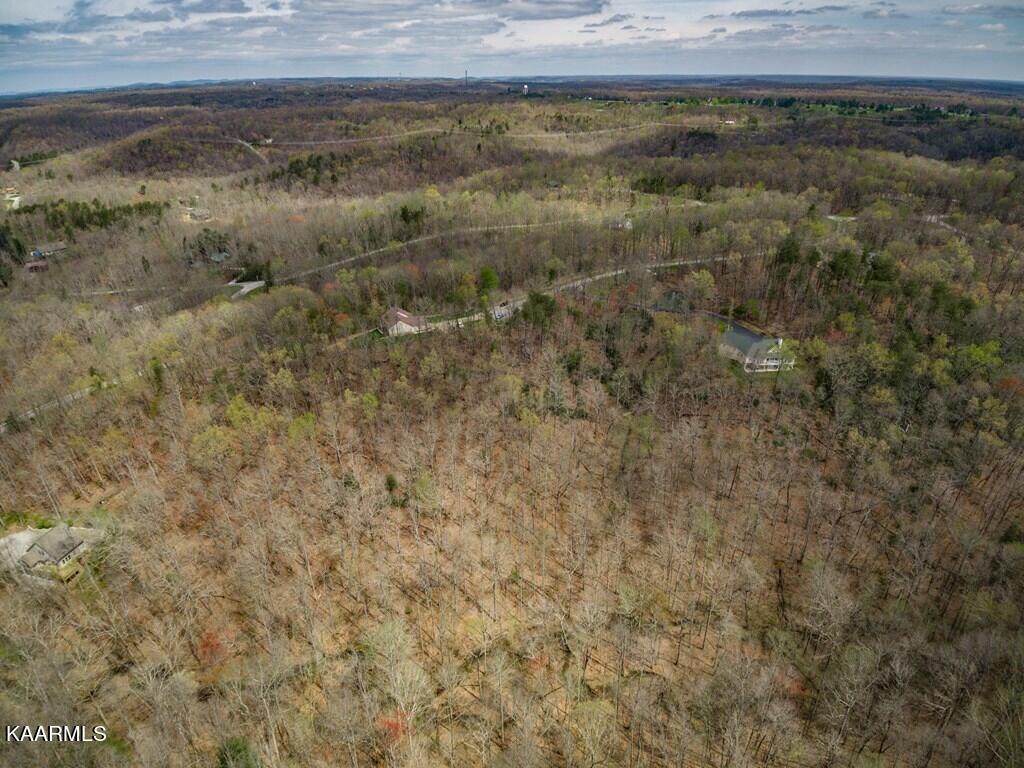 Scenic Place Monterey, TN 38574 - Photo 3 of 7 197190_2