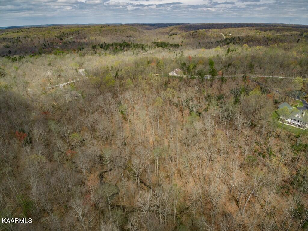 Scenic Place Monterey, TN 38574 - Photo 4 of 7 197190_3