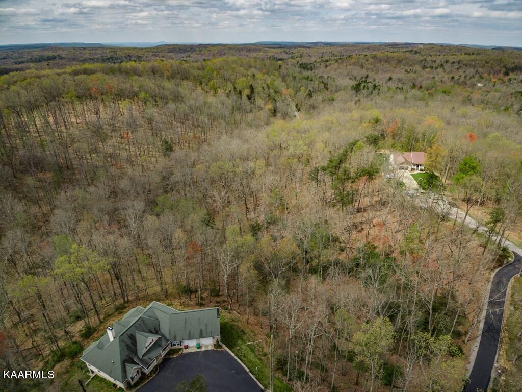 Scenic Place Monterey, TN 38574 - Photo 5 of 7 197190_4