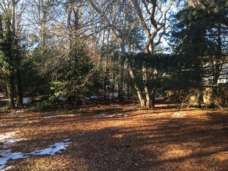 163 Guildford Road Centerville, MA 02632 - Photo 27 of 29 a view of road with trees