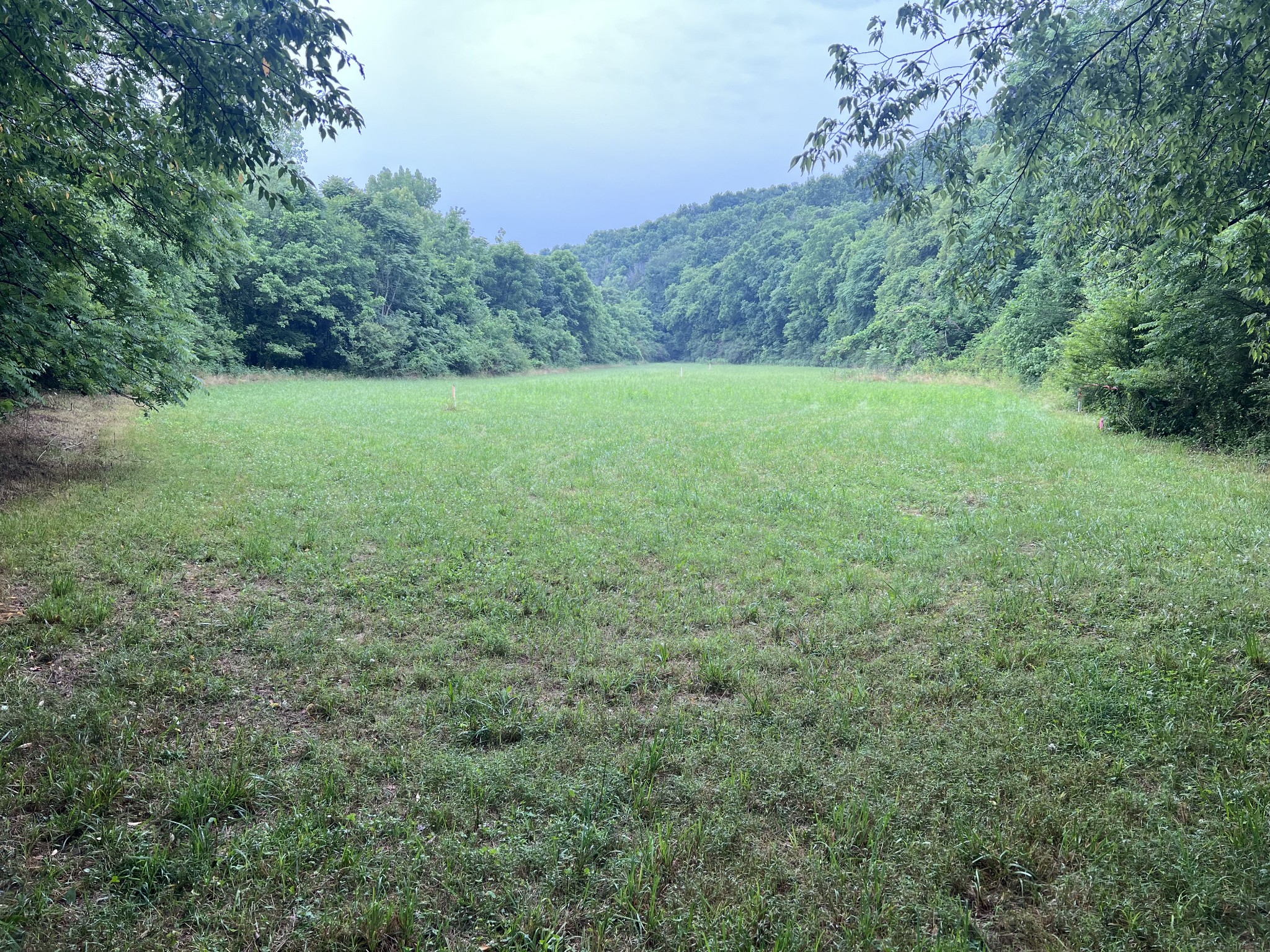1 Dog Branch Road Pleasant Shade, TN 37145 - Photo 3 of 12