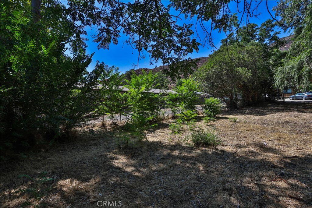 0 Brightman Avenue Lake Elsinore, CA 92530 - Photo 10 of 23 a view of yard and trees