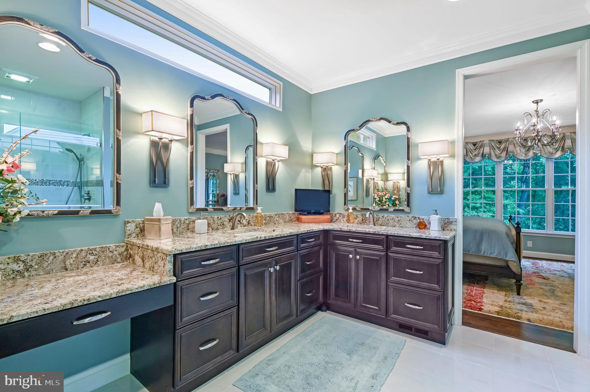 247 Ebb Point Lane Annapolis, MD 21401 - Photo 16 of 64 Custom Master Bathroom