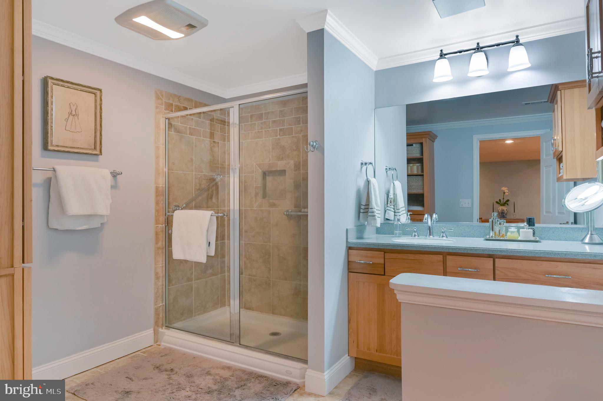 247 Ebb Point Lane Annapolis, MD 21401 - Photo 44 of 64 Lower Level Full Bath w/ Heat/Vent Unit