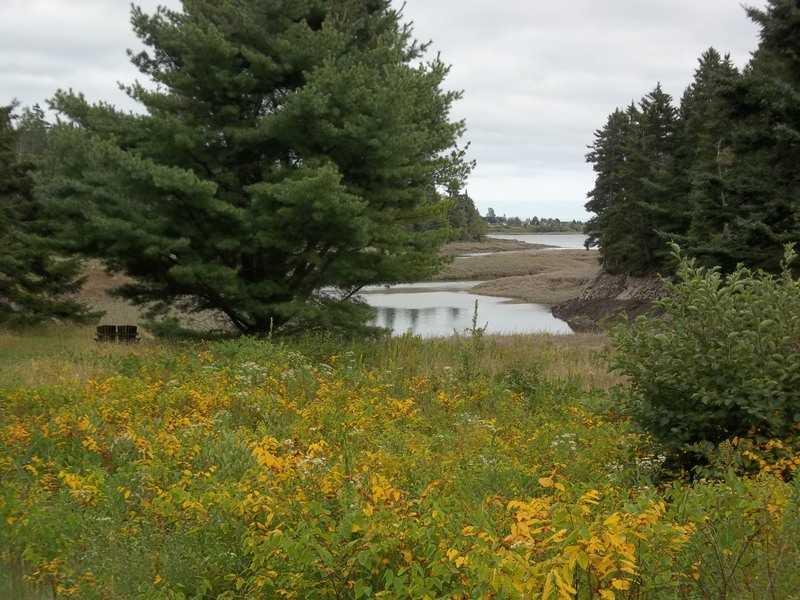 94 Old Eastport Road Perry, ME 04667 - Photo 15 of 26 Yard/Garden.