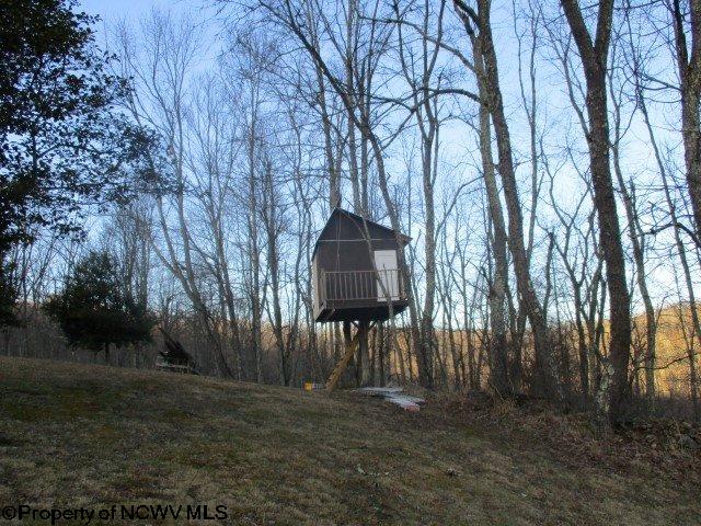 3465 Kedron Road Buckhannon, WV 26201 - Photo 16 of 19 Gallery Image 16
