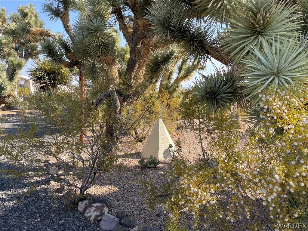 549 Mormon Flat Road Golden Valley, AZ 86413 - Photo 9 of 41 Yard
