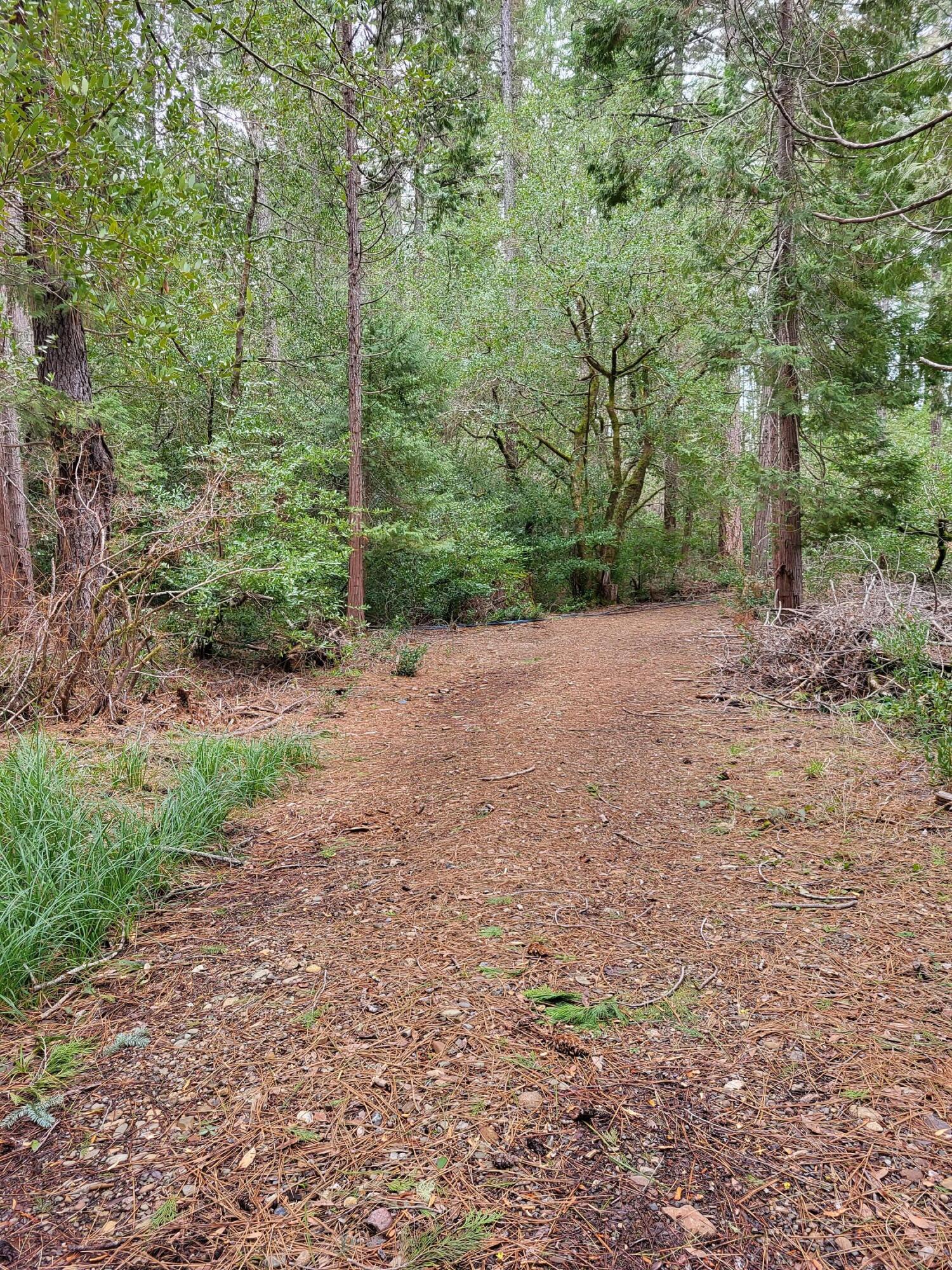 705 Lone Mountain Road O'Brien, OR 97534 - Photo 15 of 19 16