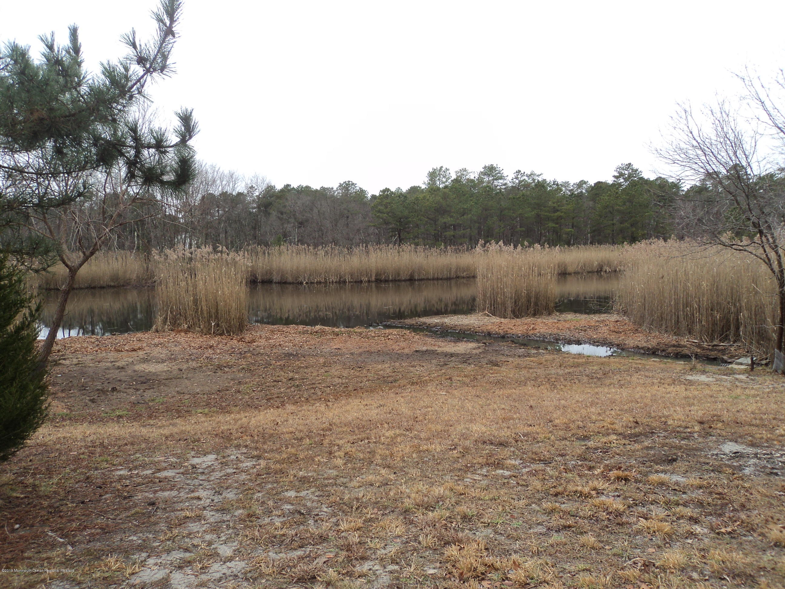 48 Augusta Road, Unit 73 Whiting, NJ 08759 - Photo 41 of 41 DSC06373