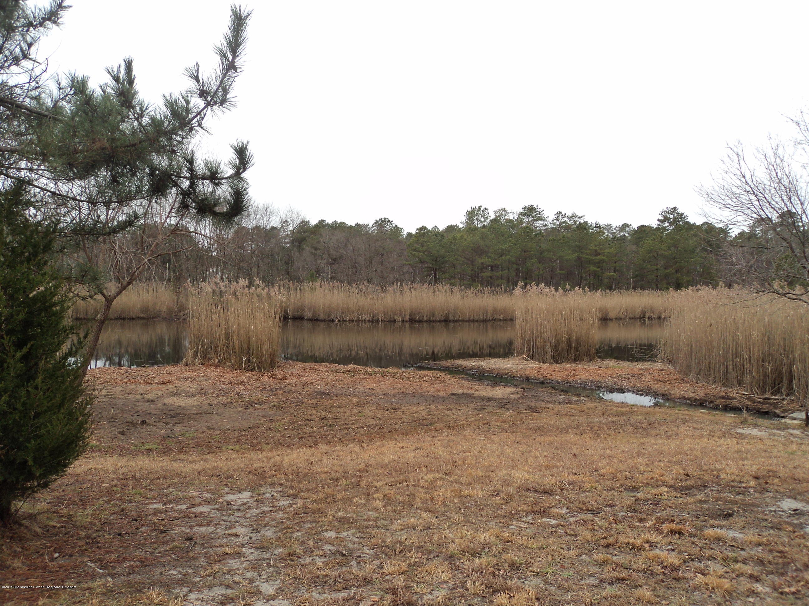 48 Augusta Road, Unit 73 Whiting, NJ 08759 - Photo 8 of 41 DSC06371
