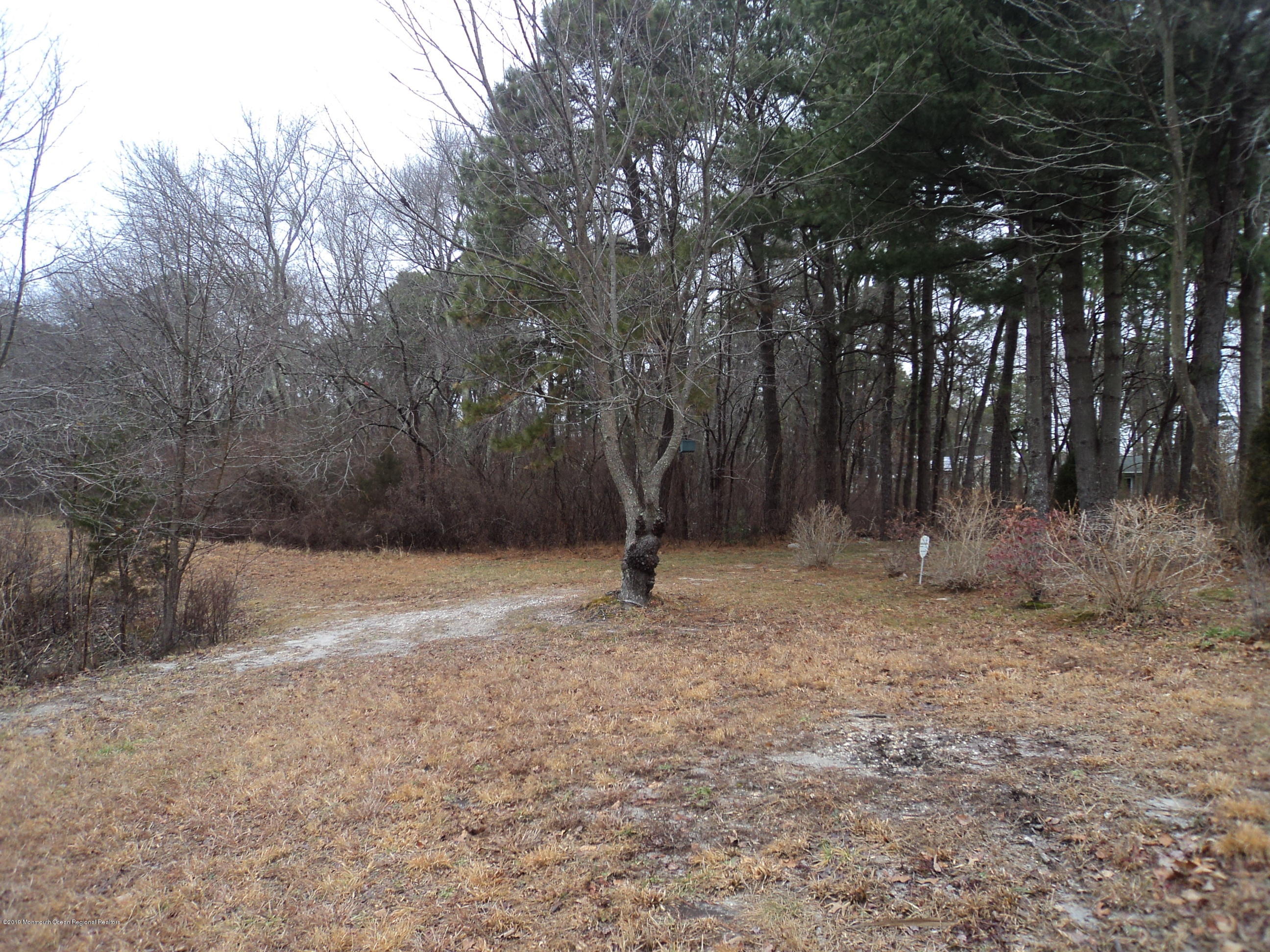 48 Augusta Road, Unit 73 Whiting, NJ 08759 - Photo 9 of 41 DSC06376