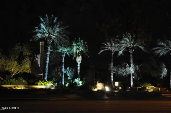 a view of a yard with a fountain