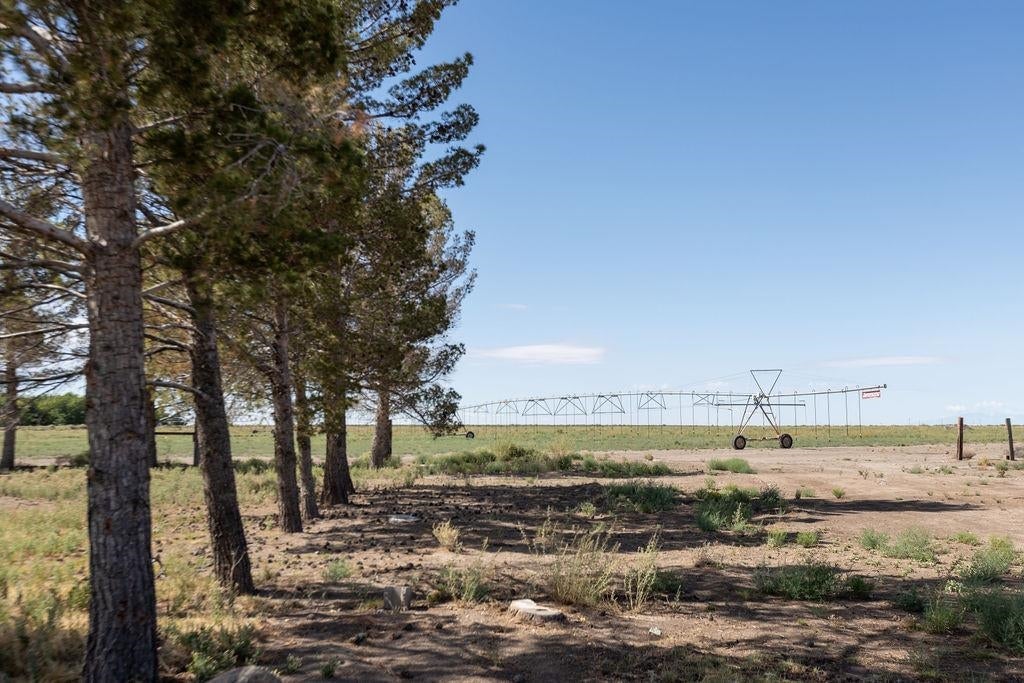 222 Galicia Road Tularosa, NM 88352 - Photo 84 of 94 Gallery Image 84