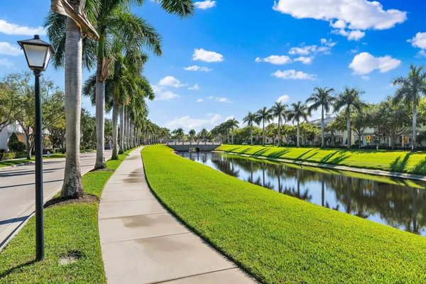a view of a lake with a palm trees