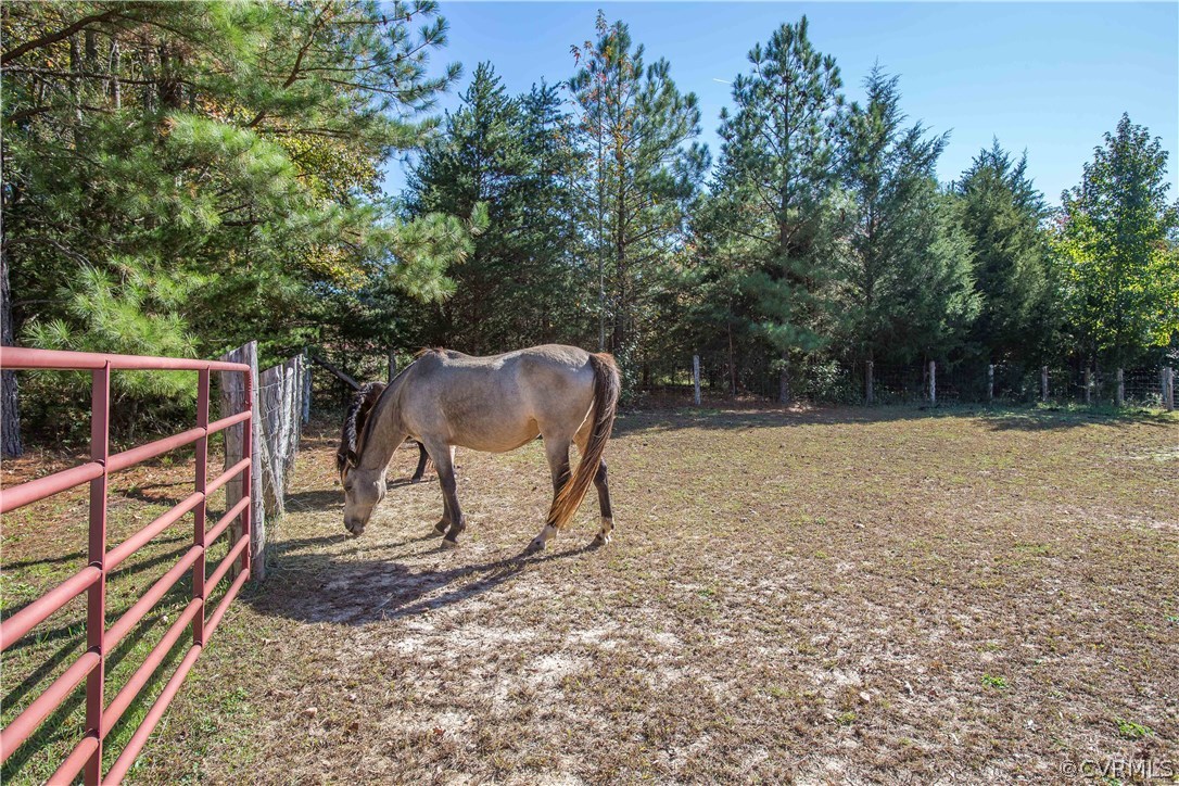 1139 Cartersville Road Cartersville, VA 23027 - Photo 44 of 50 Gallery Image 44