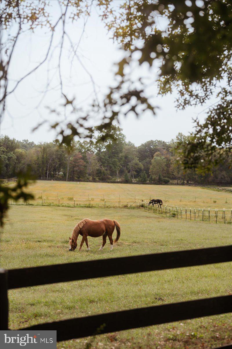 19606 Ridgeside Road Bluemont, VA 20135 - Photo 70 of 74