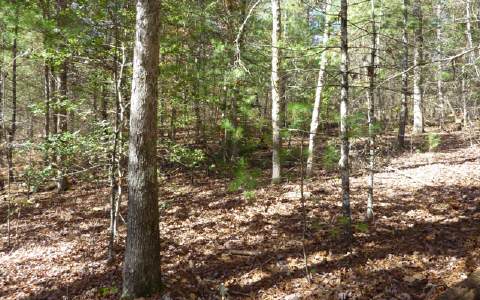 O Nottley River Road Murphy, NC 28906 - Photo 1 of 1 Main View