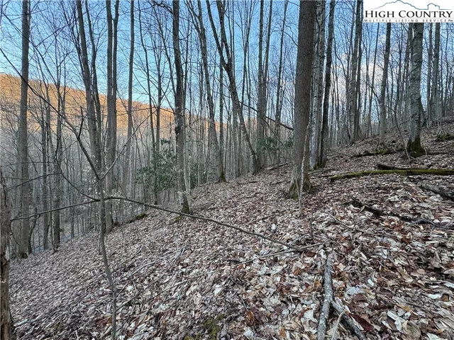 $34,900 | Lot 3 Buckeye Ridge Road, Beech Mountain, NC 28604