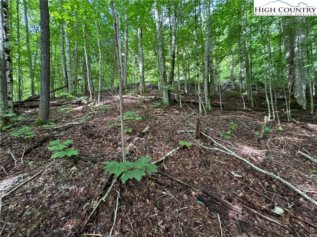 Lot 3 Buckeye Ridge Road Beech Mountain, NC 28604 - Photo 4 of 7