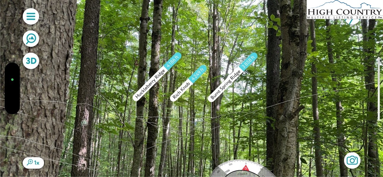 Lot 3 Buckeye Ridge Road Beech Mountain, NC 28604 - Photo 6 of 7